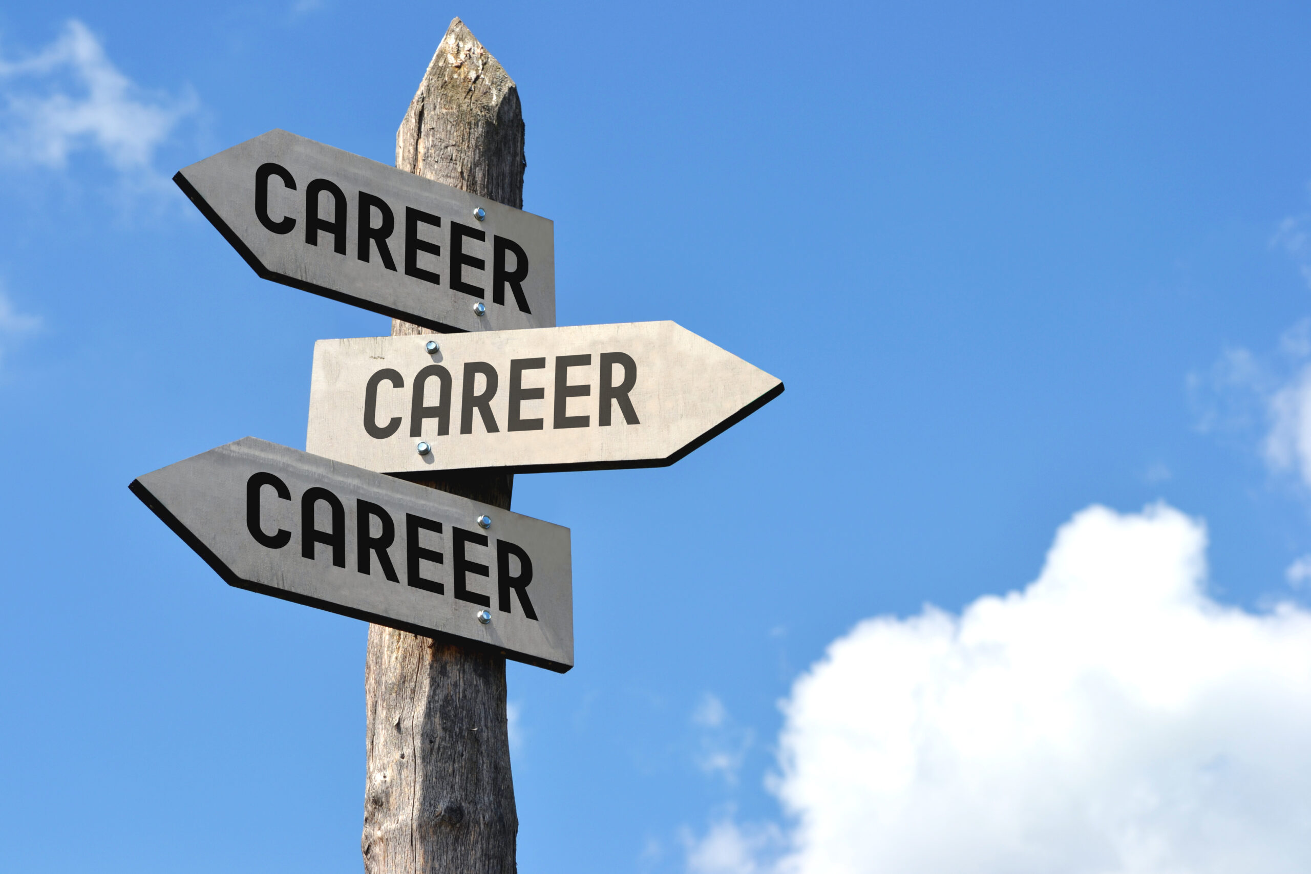 career paths for entry-level professionals